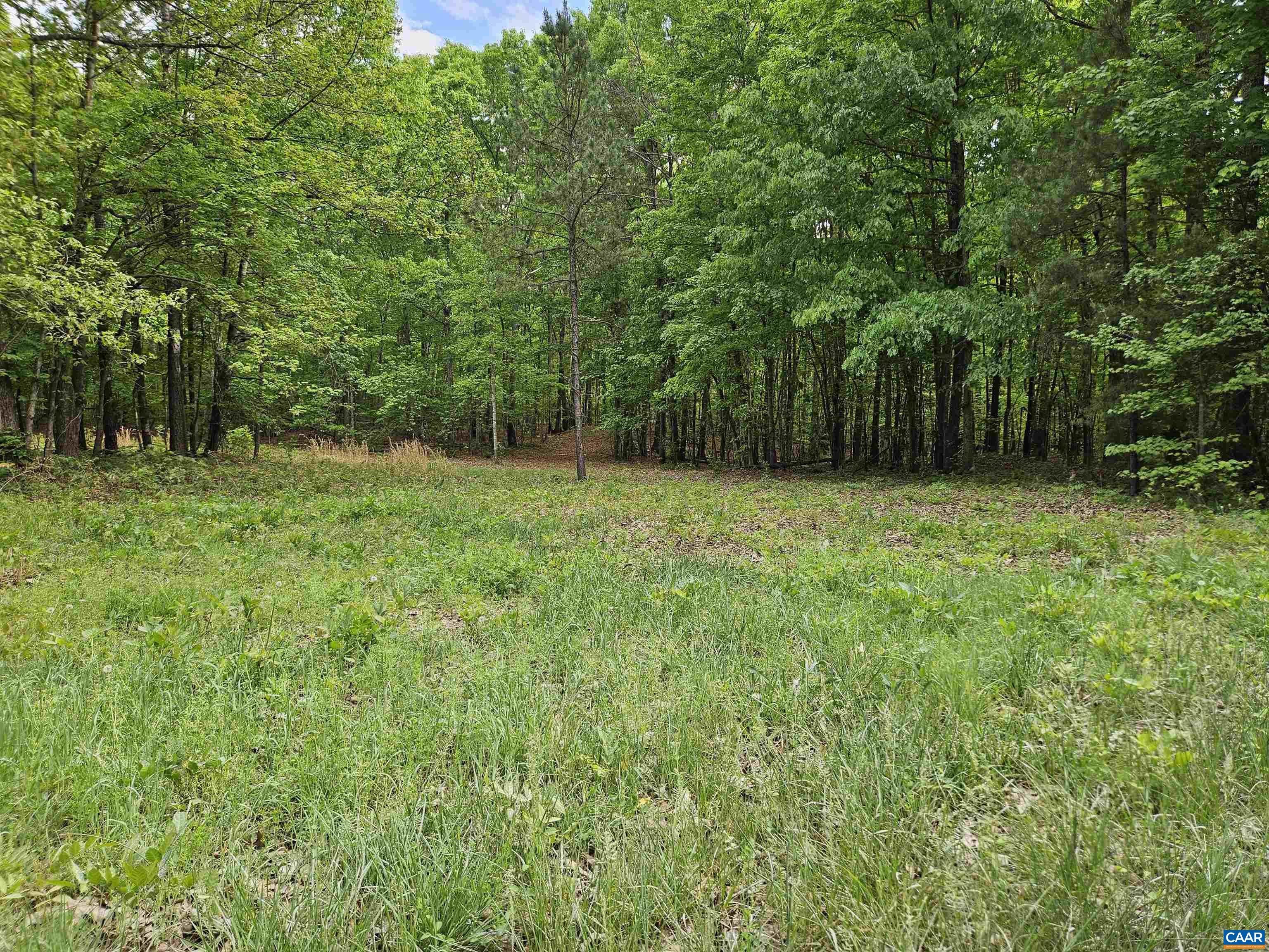 8.65 Ac POND RD, BUCKINGHAM, Virginia 23921, ,Land,8.65 Ac POND RD,676308 MLS # 676308