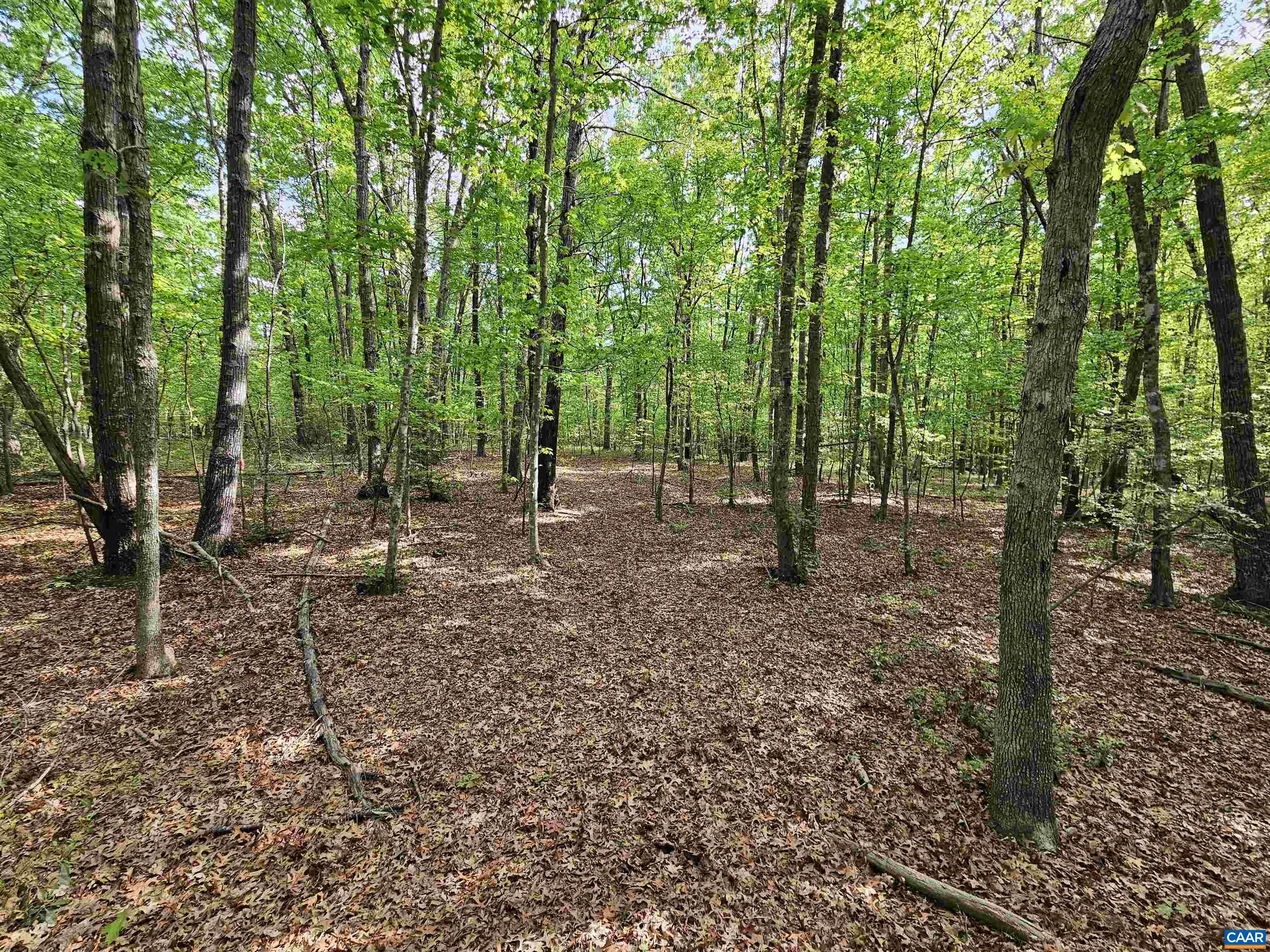 8.65 Ac POND RD, BUCKINGHAM, Virginia 23921, ,Land,8.65 Ac POND RD,676308 MLS # 676308