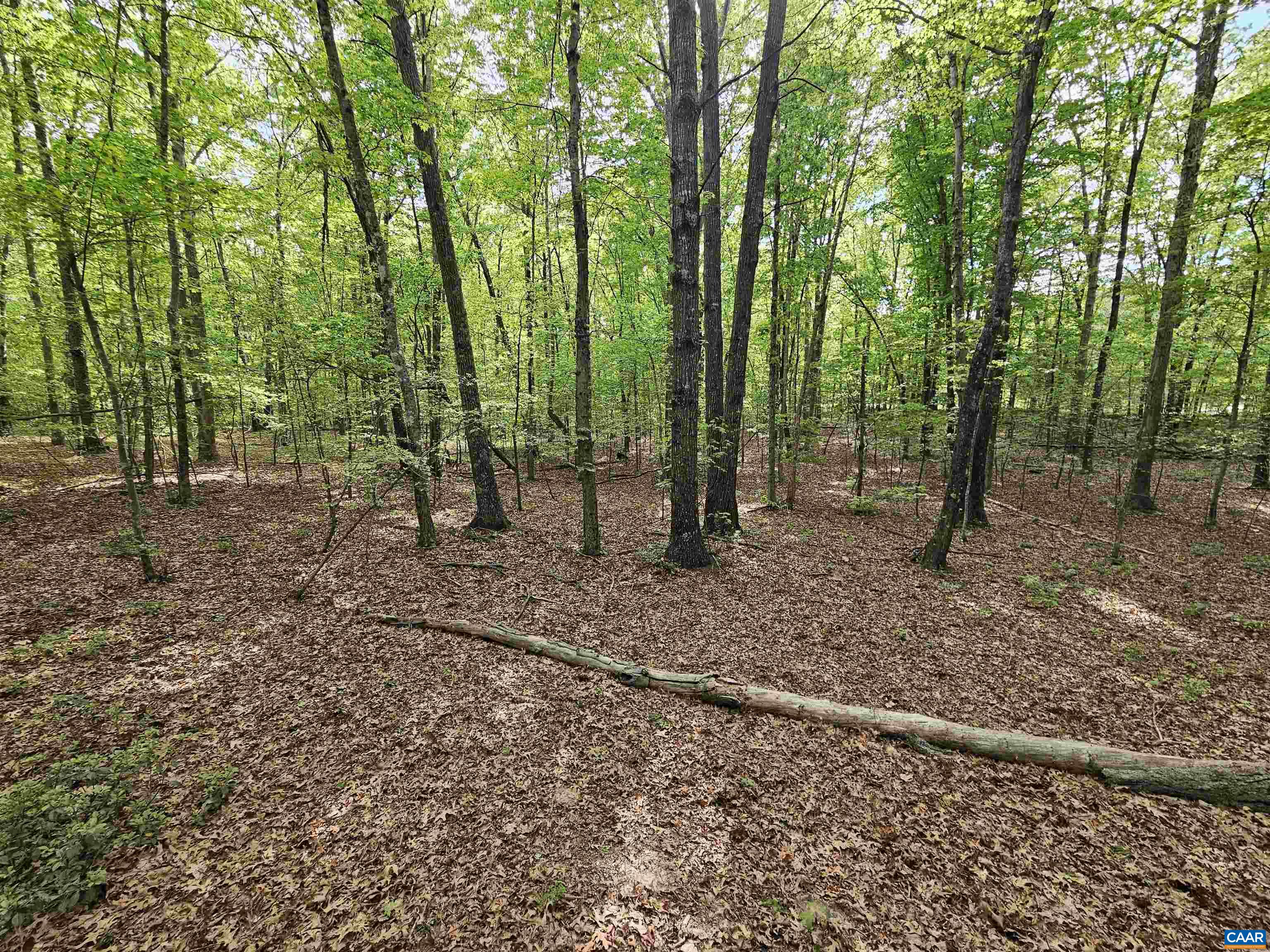 8.65 Ac POND RD, BUCKINGHAM, Virginia 23921, ,Land,8.65 Ac POND RD,676308 MLS # 676308