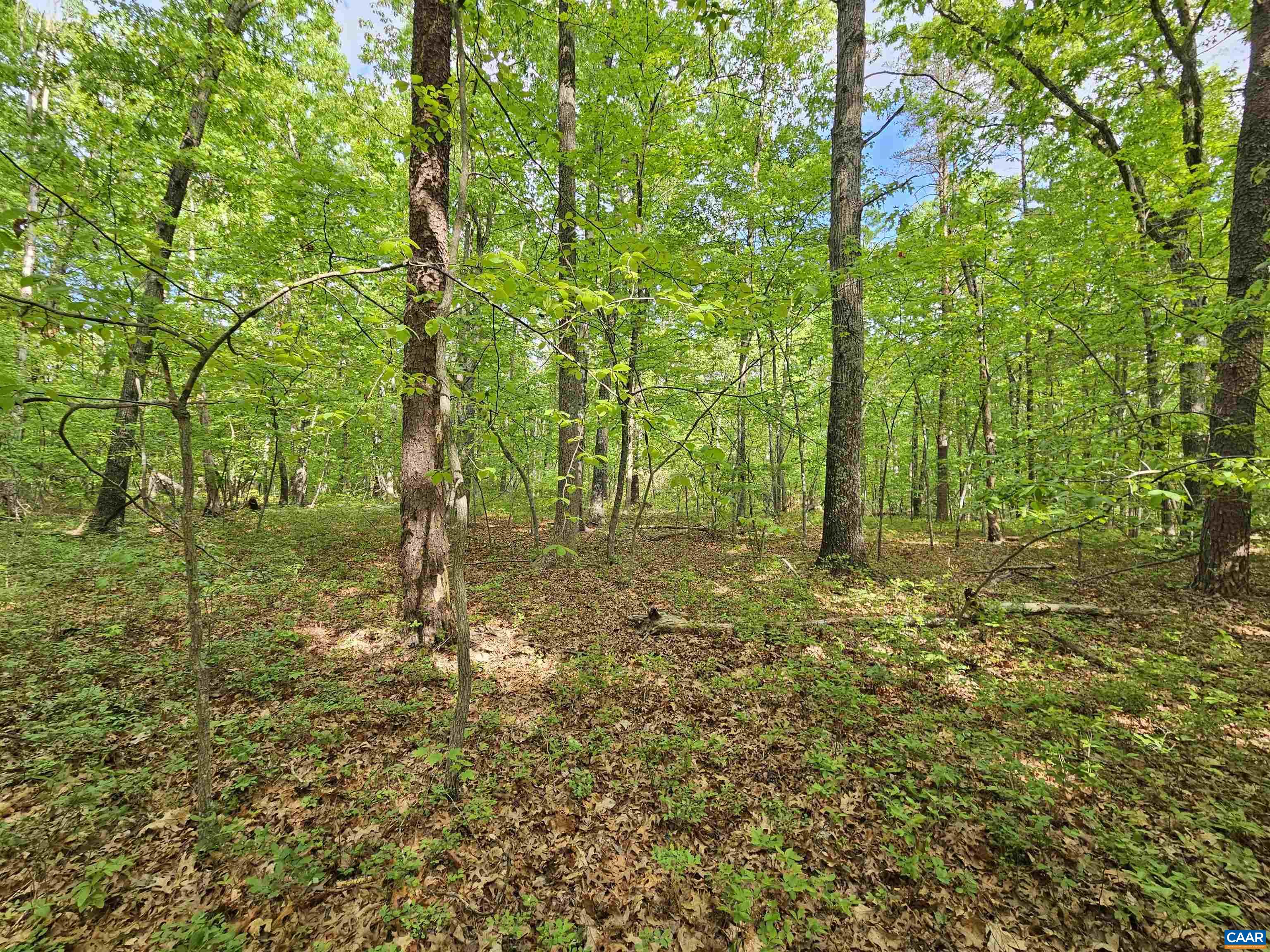 8.65 Ac POND RD, BUCKINGHAM, Virginia 23921, ,Land,8.65 Ac POND RD,676308 MLS # 676308