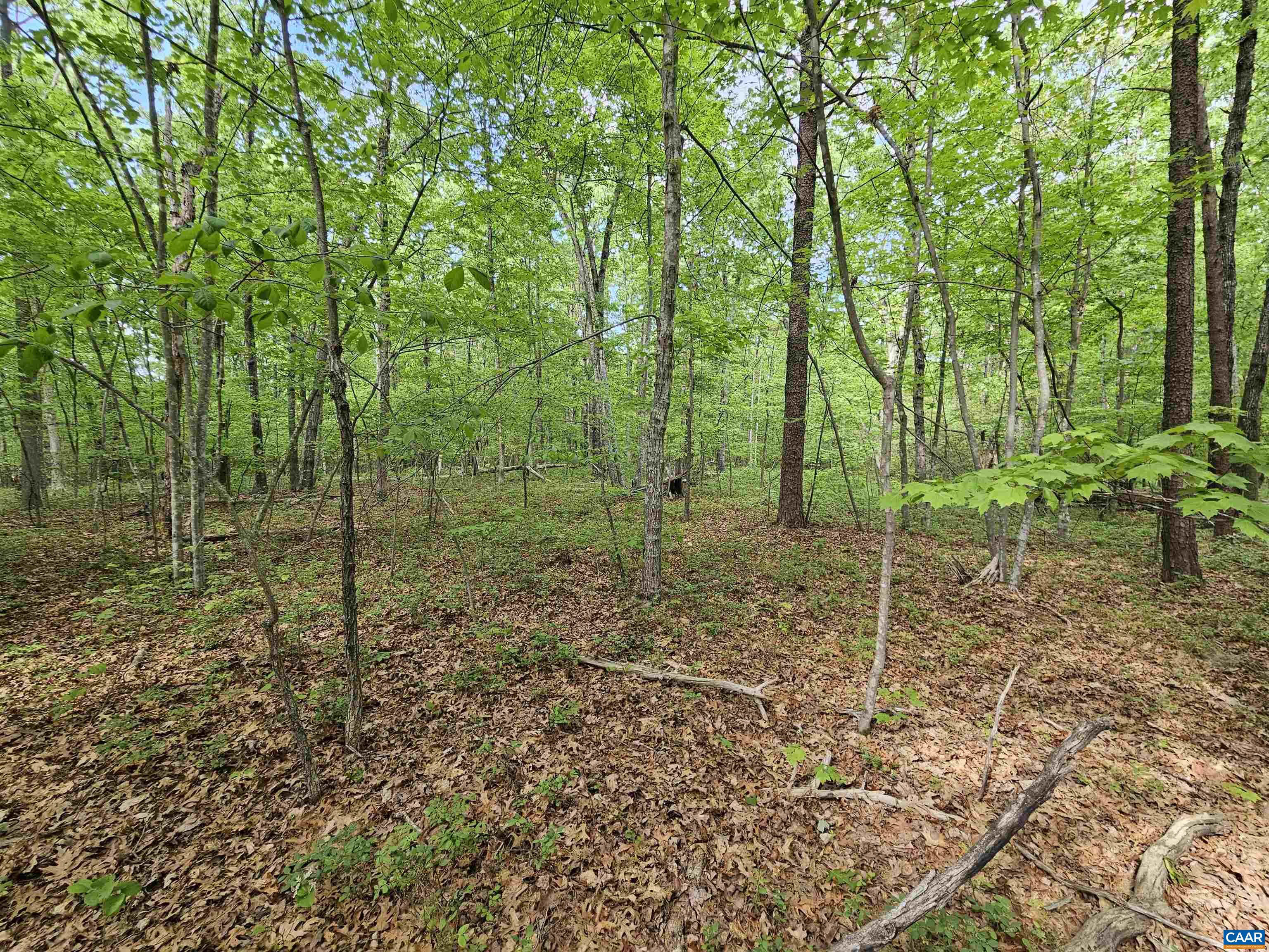 8.65 Ac POND RD, BUCKINGHAM, Virginia 23921, ,Land,8.65 Ac POND RD,676308 MLS # 676308