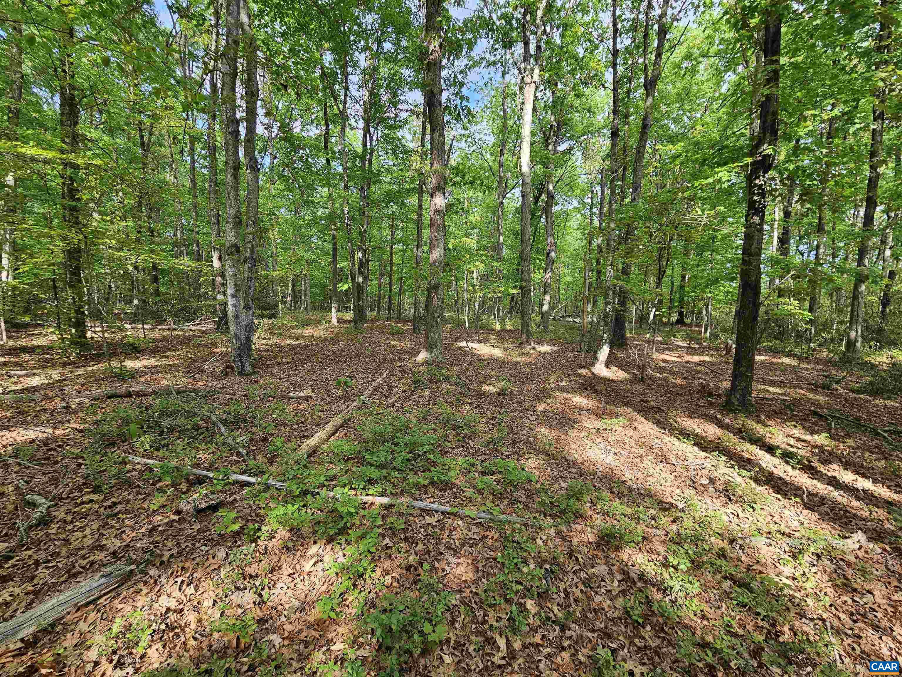 8.65 Ac POND RD, BUCKINGHAM, Virginia 23921, ,Land,8.65 Ac POND RD,676308 MLS # 676308