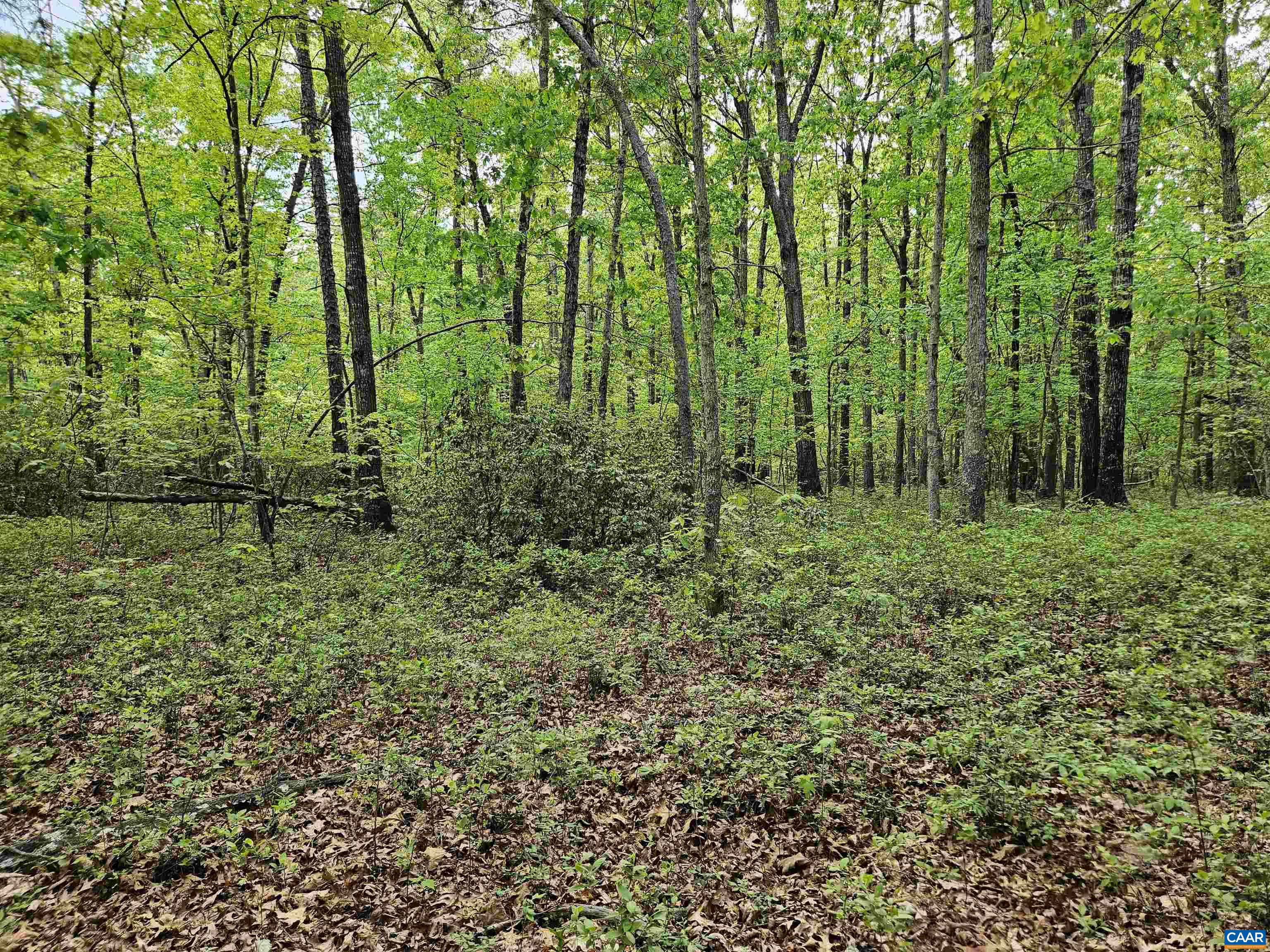 8.65 Ac POND RD, BUCKINGHAM, Virginia 23921, ,Land,8.65 Ac POND RD,676308 MLS # 676308