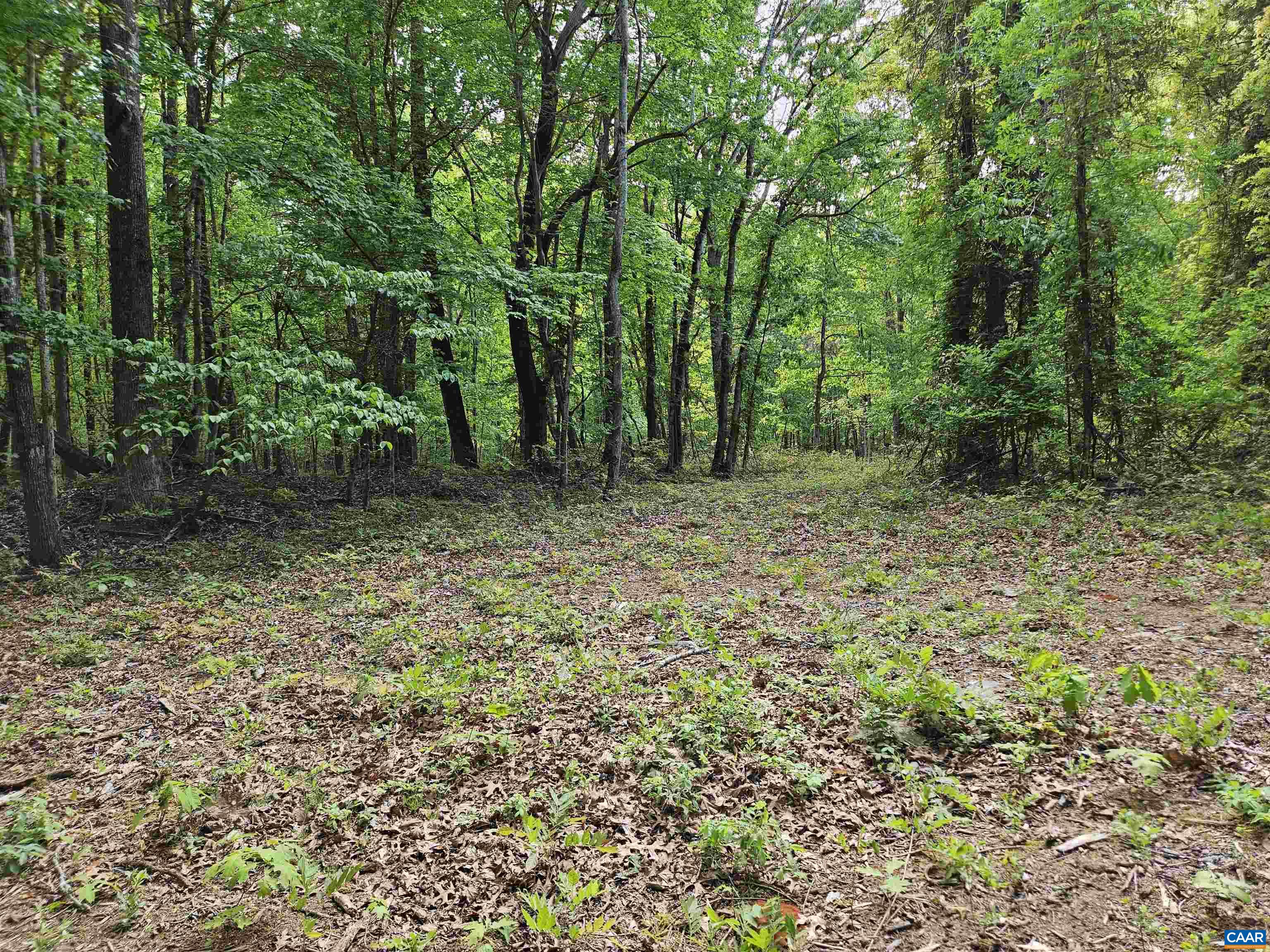 8.65 Ac POND RD, BUCKINGHAM, Virginia 23921, ,Land,8.65 Ac POND RD,676308 MLS # 676308