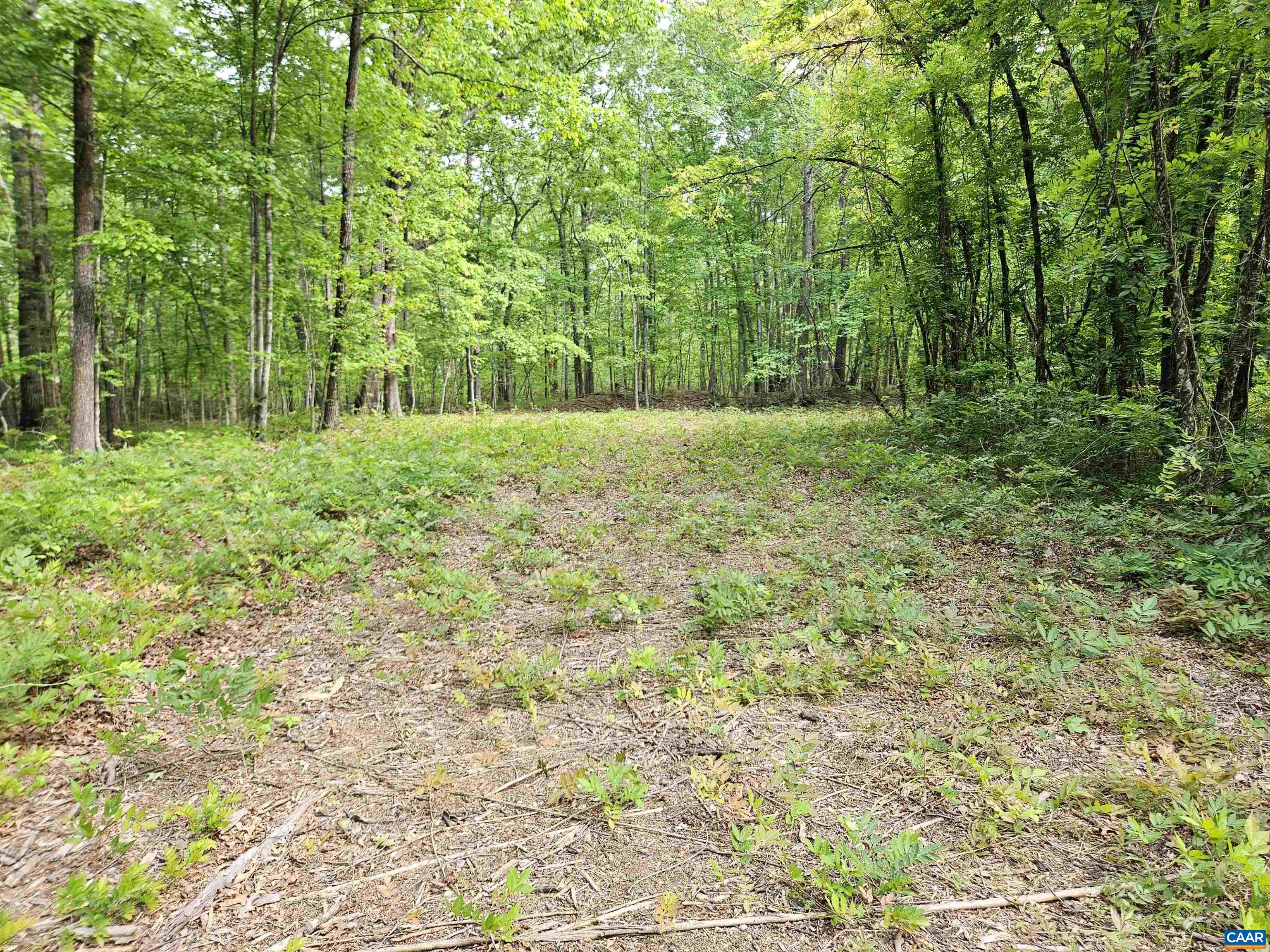 8.65 Ac POND RD, BUCKINGHAM, Virginia 23921, ,Land,8.65 Ac POND RD,676308 MLS # 676308