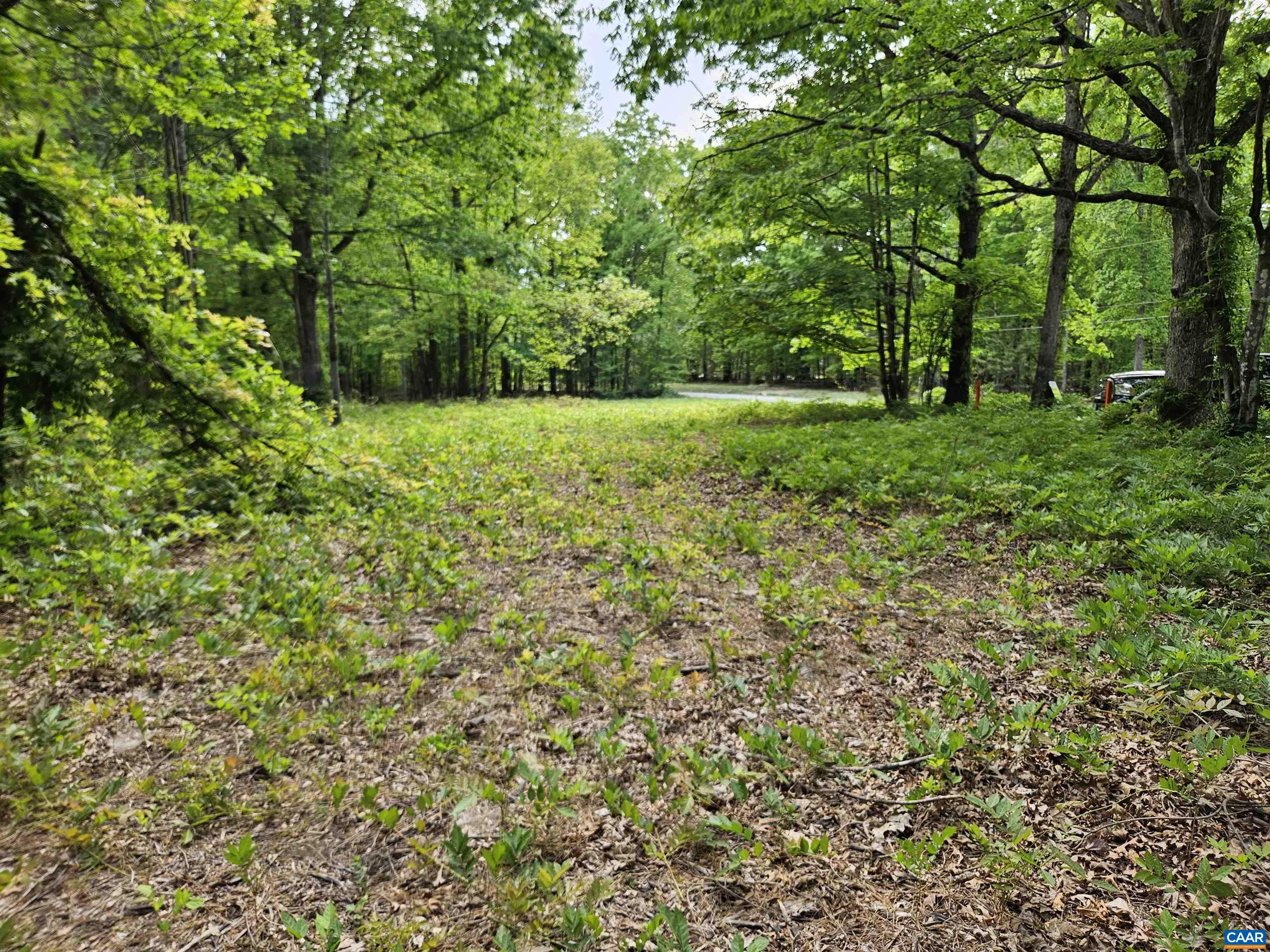 8.65 Ac POND RD, BUCKINGHAM, Virginia 23921, ,Land,8.65 Ac POND RD,676308 MLS # 676308