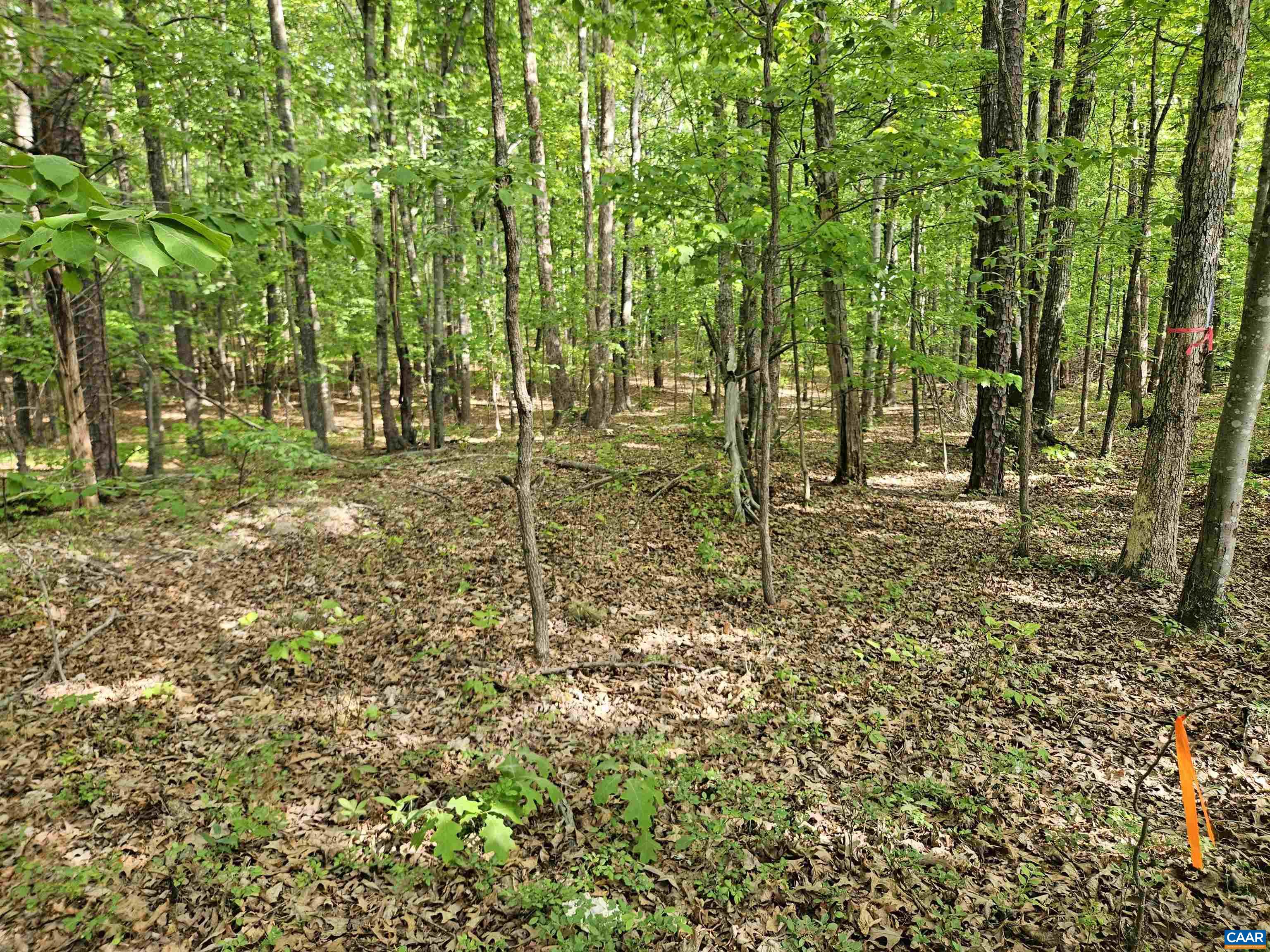 8.65 Ac POND RD, BUCKINGHAM, Virginia 23921, ,Land,8.65 Ac POND RD,676308 MLS # 676308