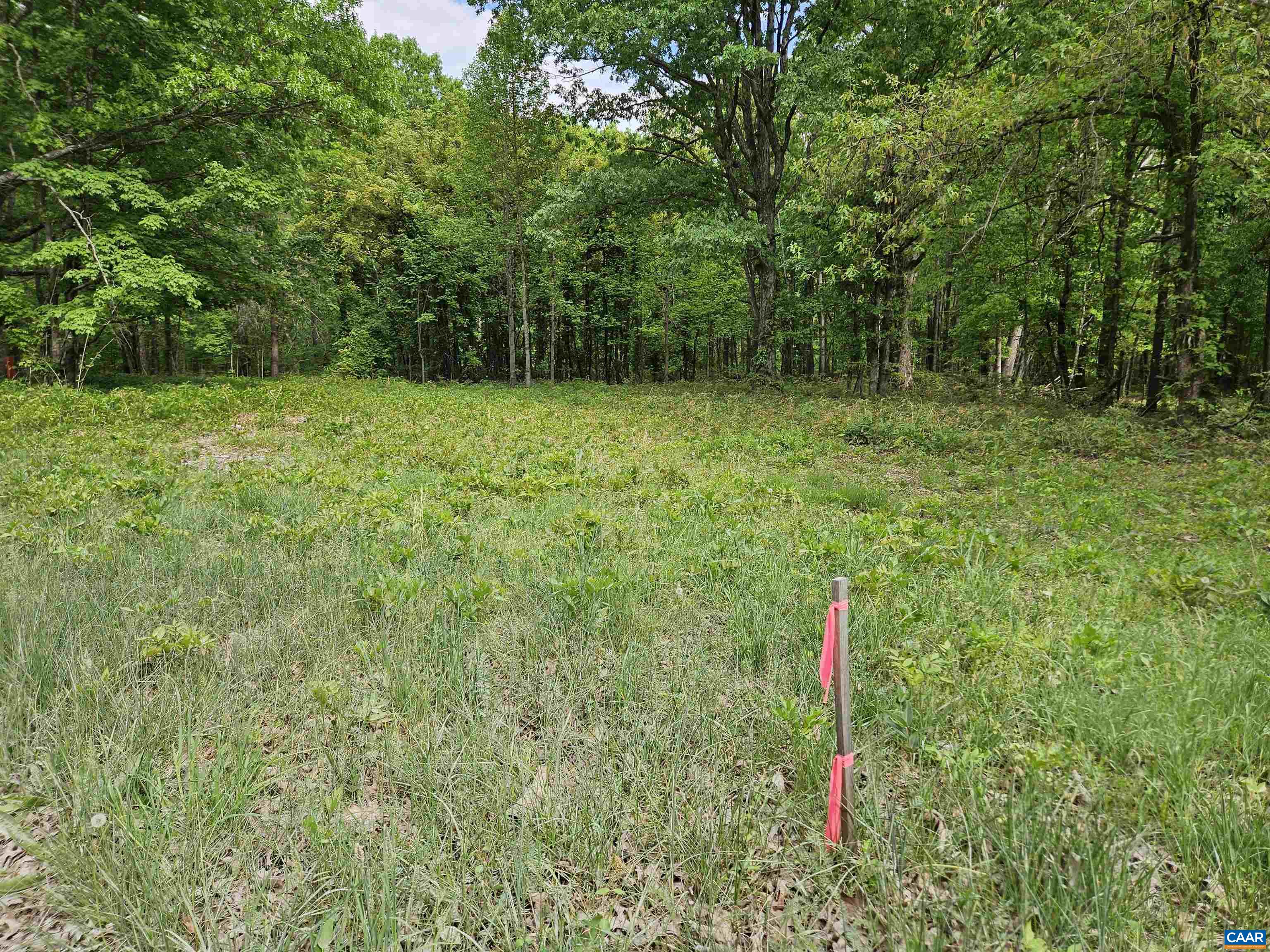 8.65 Ac POND RD, BUCKINGHAM, Virginia 23921, ,Land,8.65 Ac POND RD,676308 MLS # 676308
