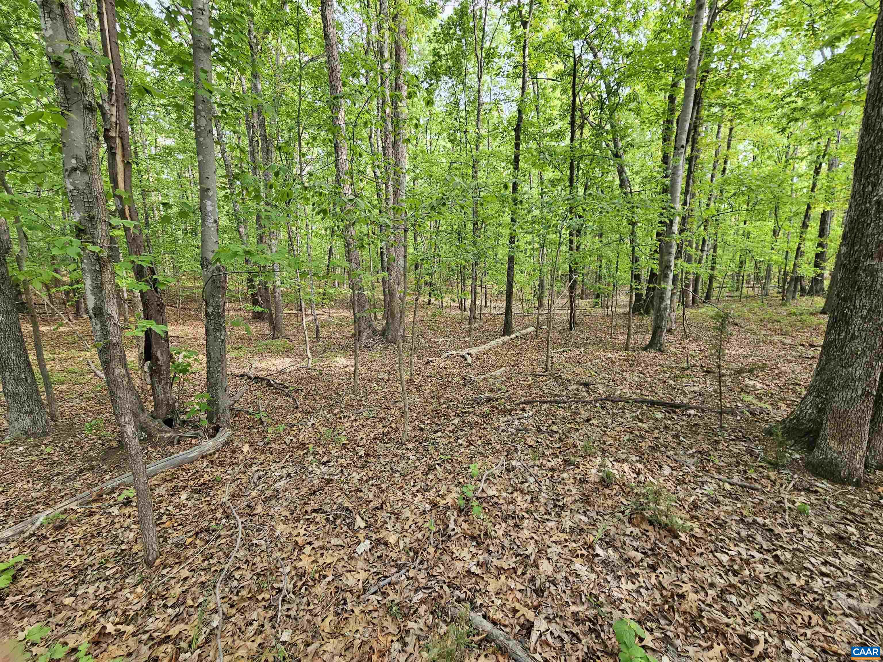 8.65 Ac POND RD, BUCKINGHAM, Virginia 23921, ,Land,8.65 Ac POND RD,676308 MLS # 676308