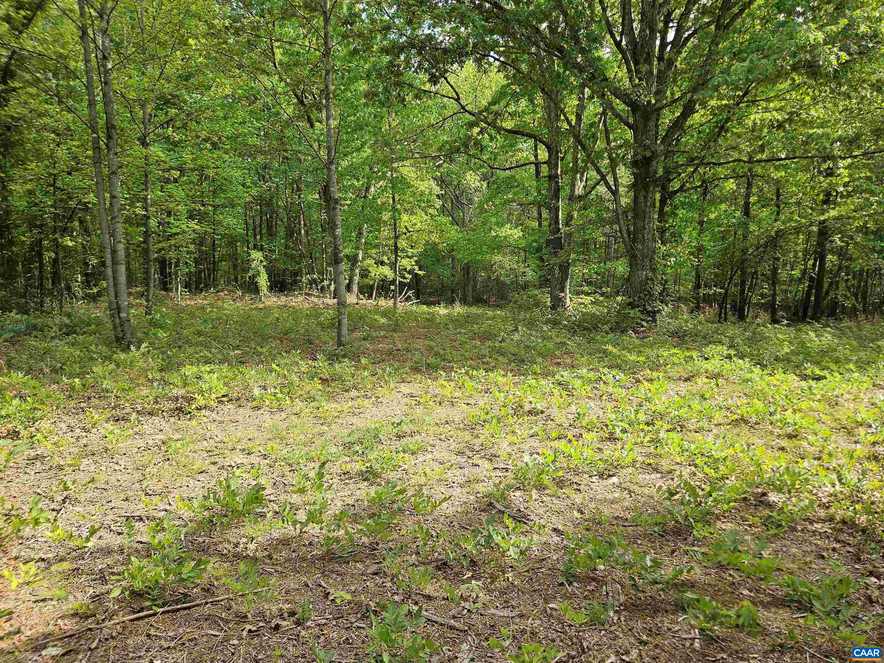 8.65 Ac POND RD, BUCKINGHAM, Virginia 23921, ,Land,8.65 Ac POND RD,676308 MLS # 676308