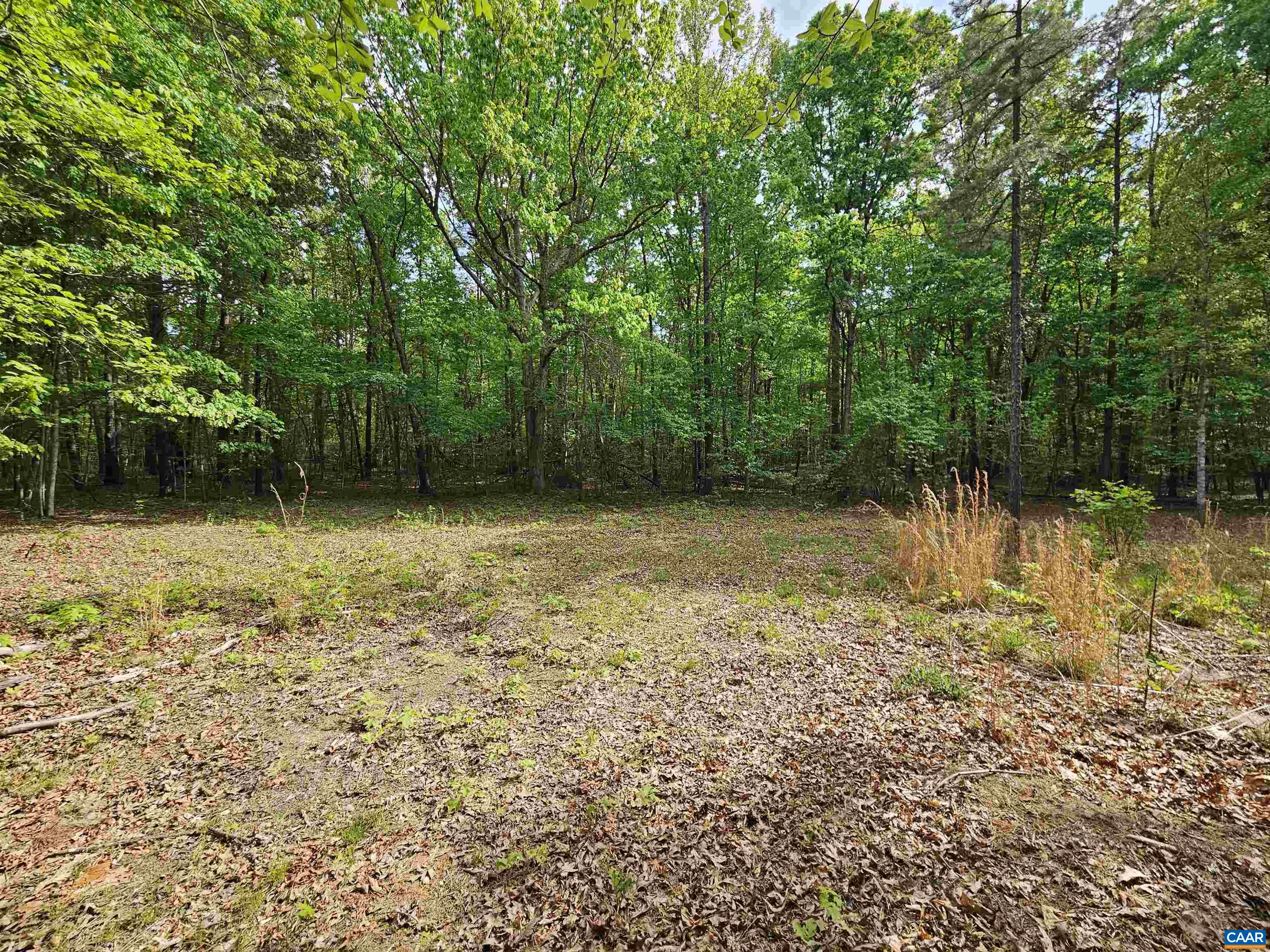 8.65 Ac POND RD, BUCKINGHAM, Virginia 23921, ,Land,8.65 Ac POND RD,676308 MLS # 676308