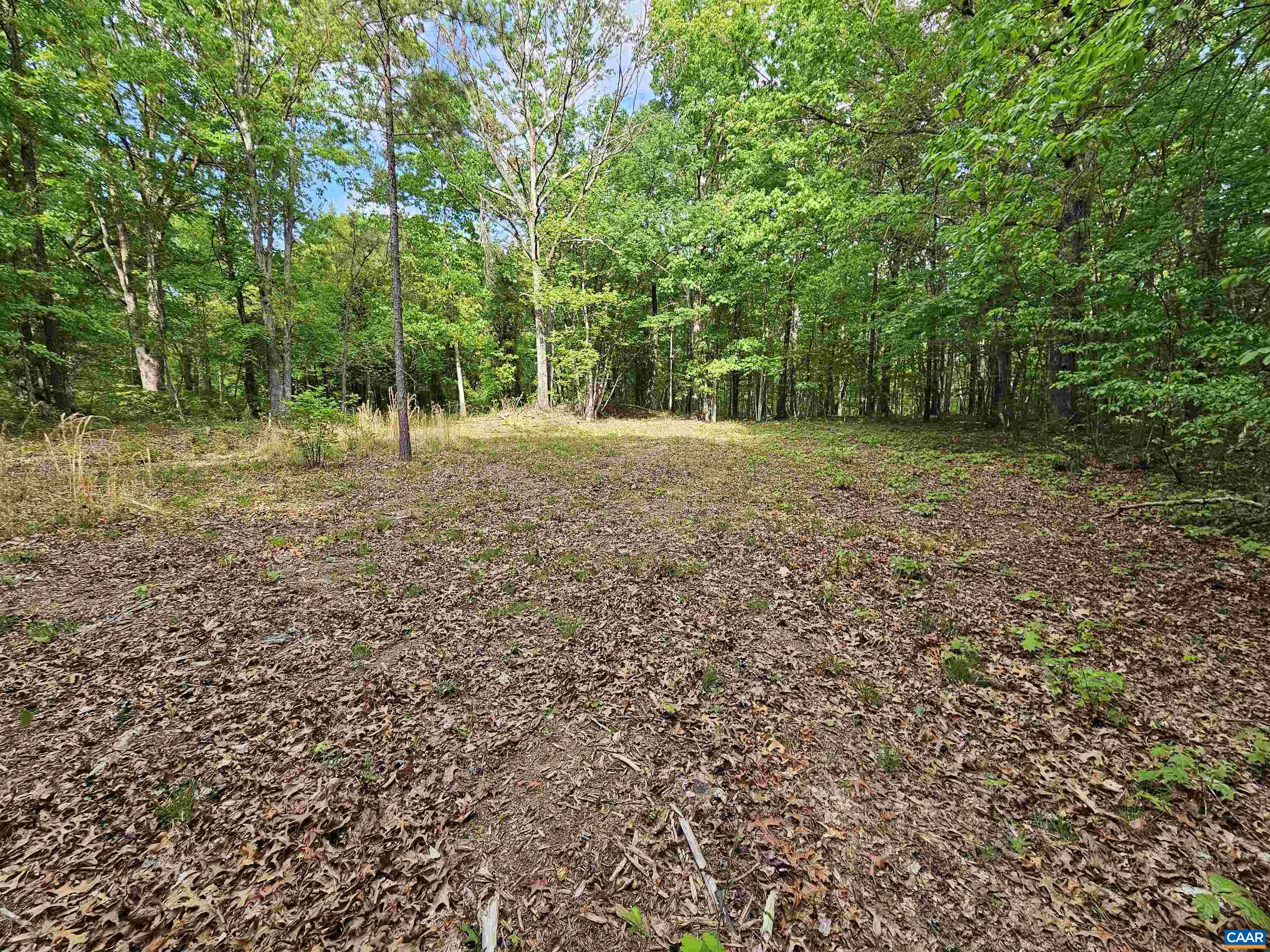 8.65 Ac POND RD, BUCKINGHAM, Virginia 23921, ,Land,8.65 Ac POND RD,676308 MLS # 676308