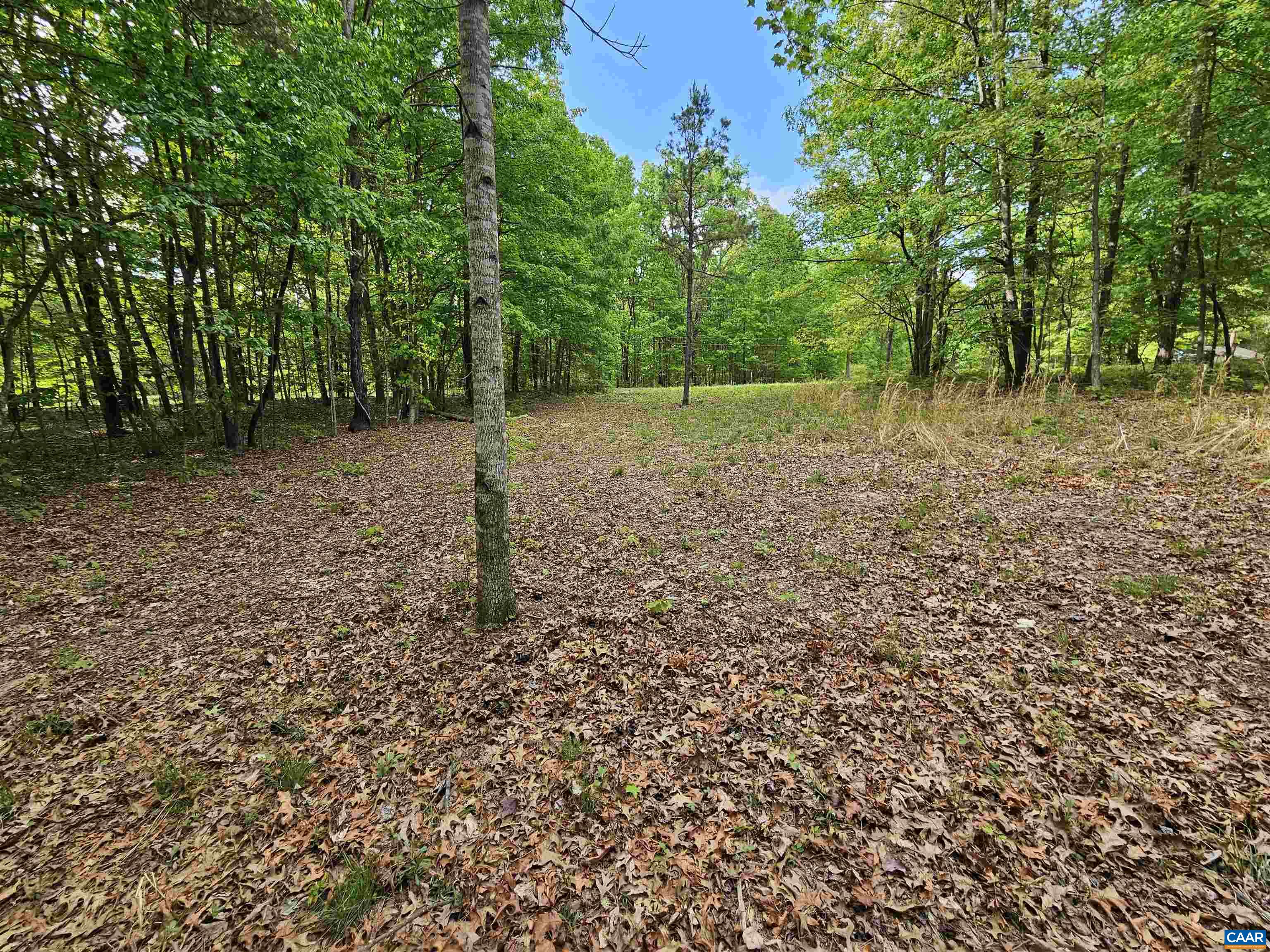 8.65 Ac POND RD, BUCKINGHAM, Virginia 23921, ,Land,8.65 Ac POND RD,676308 MLS # 676308