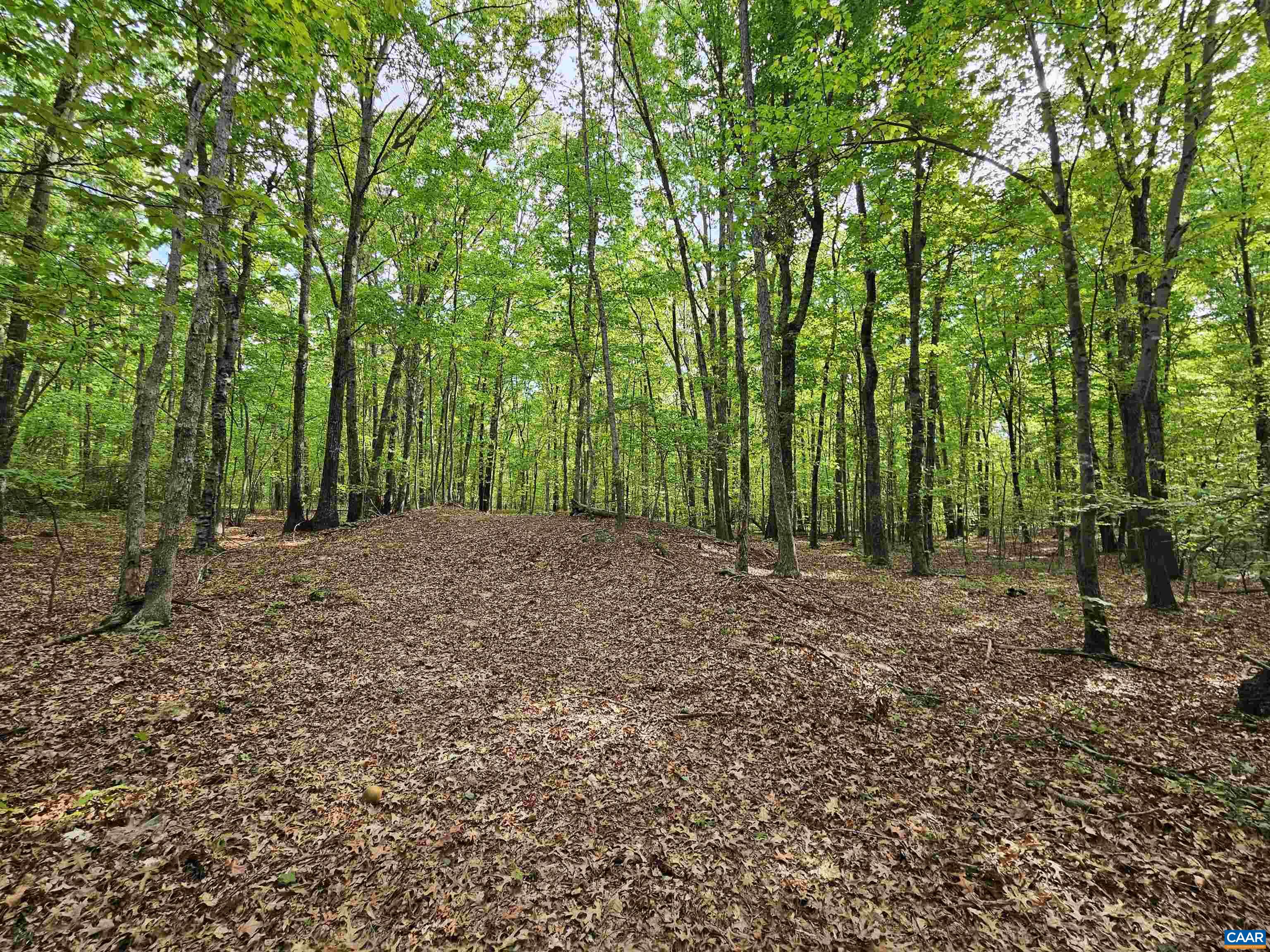 8.65 Ac POND RD, BUCKINGHAM, Virginia 23921, ,Land,8.65 Ac POND RD,676308 MLS # 676308