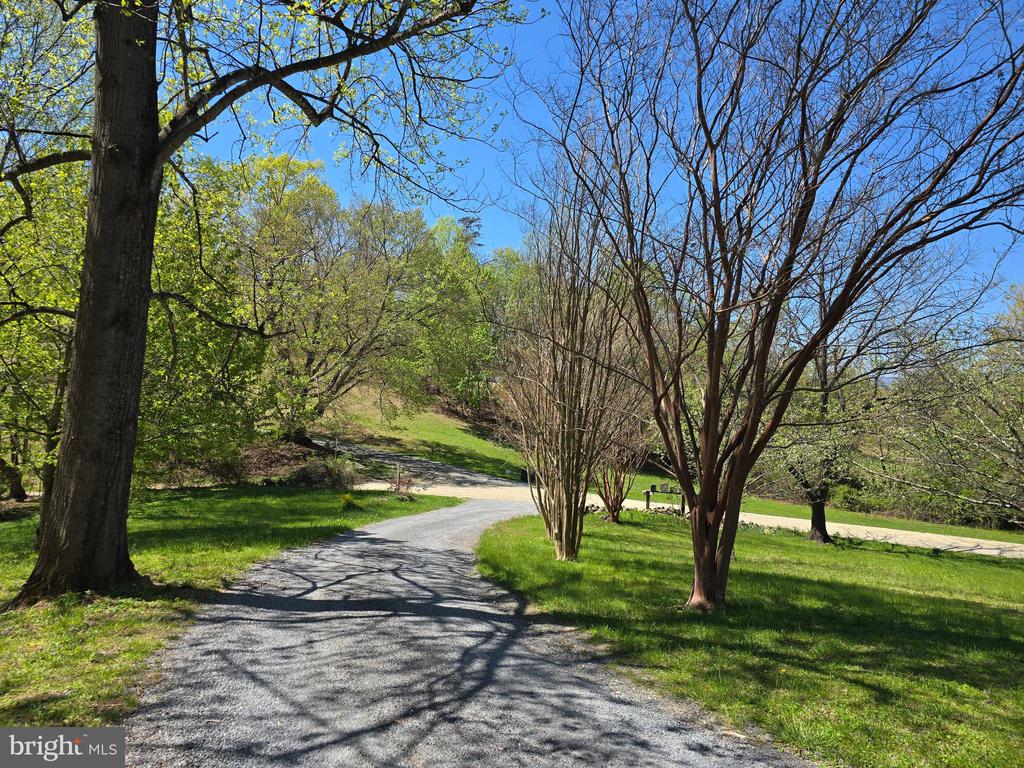 199 BLUE ROCK LN, ROSELAND, Virginia 22967, 3 Bedrooms Bedrooms, ,3 BathroomsBathrooms,Residential,199 BLUE ROCK LN,VANL2000654 MLS # VANL2000654