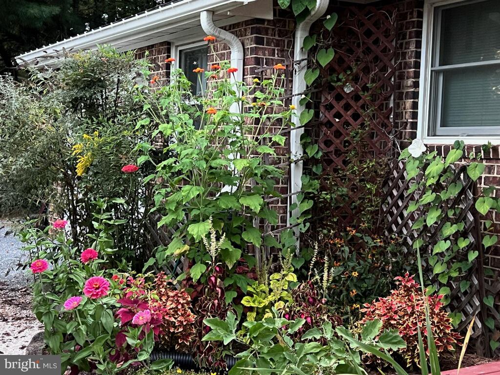199 BLUE ROCK LN, ROSELAND, Virginia 22967, 3 Bedrooms Bedrooms, ,3 BathroomsBathrooms,Residential,199 BLUE ROCK LN,VANL2000654 MLS # VANL2000654