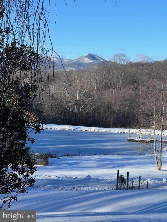 199 BLUE ROCK LN, ROSELAND, Virginia 22967, 3 Bedrooms Bedrooms, ,3 BathroomsBathrooms,Residential,199 BLUE ROCK LN,VANL2000654 MLS # VANL2000654