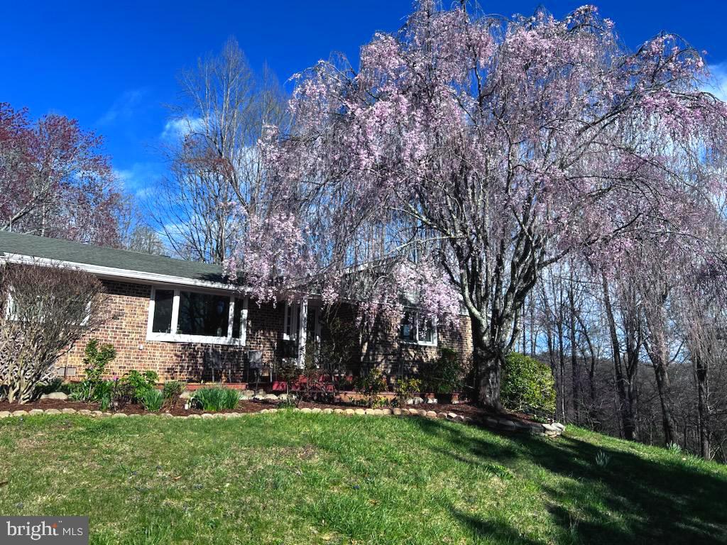 199 BLUE ROCK LN, ROSELAND, Virginia 22967, 3 Bedrooms Bedrooms, ,3 BathroomsBathrooms,Residential,199 BLUE ROCK LN,VANL2000654 MLS # VANL2000654