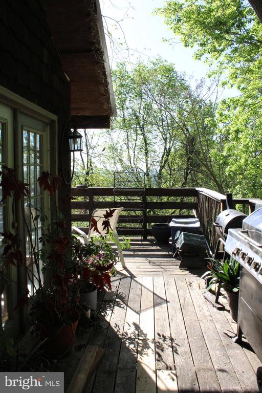 446 SPRING DR, STANARDSVILLE, Virginia 22973, 4 Bedrooms Bedrooms, ,1 BathroomBathrooms,Residential,446 SPRING DR,VAGR2000852 MLS # VAGR2000852