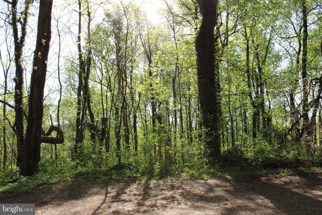 446 SPRING DR, STANARDSVILLE, Virginia 22973, 4 Bedrooms Bedrooms, ,1 BathroomBathrooms,Residential,446 SPRING DR,VAGR2000852 MLS # VAGR2000852