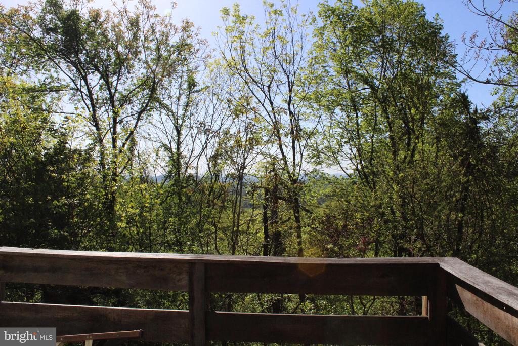 446 SPRING DR, STANARDSVILLE, Virginia 22973, 4 Bedrooms Bedrooms, ,1 BathroomBathrooms,Residential,446 SPRING DR,VAGR2000852 MLS # VAGR2000852