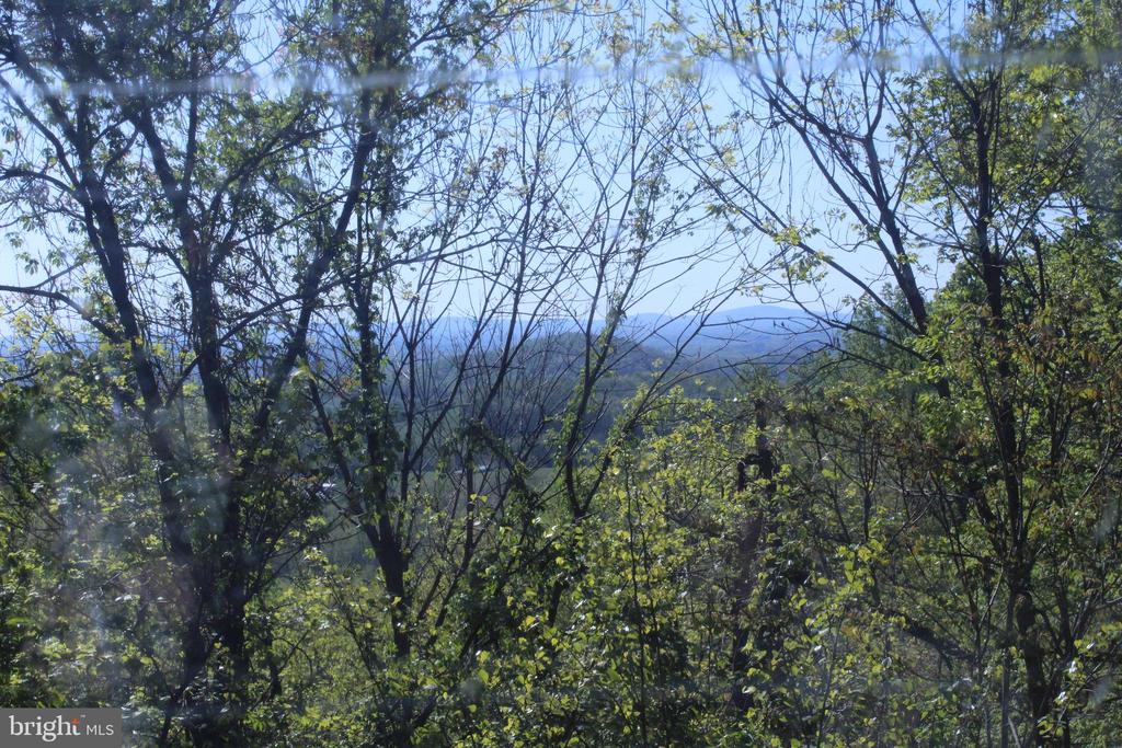 446 SPRING DR, STANARDSVILLE, Virginia 22973, 4 Bedrooms Bedrooms, ,1 BathroomBathrooms,Residential,446 SPRING DR,VAGR2000852 MLS # VAGR2000852