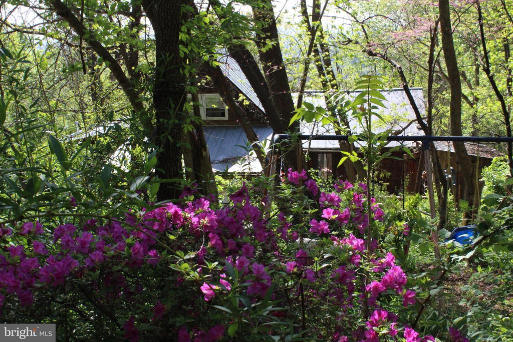 446 SPRING DR, STANARDSVILLE, Virginia 22973, 4 Bedrooms Bedrooms, ,1 BathroomBathrooms,Residential,446 SPRING DR,VAGR2000852 MLS # VAGR2000852