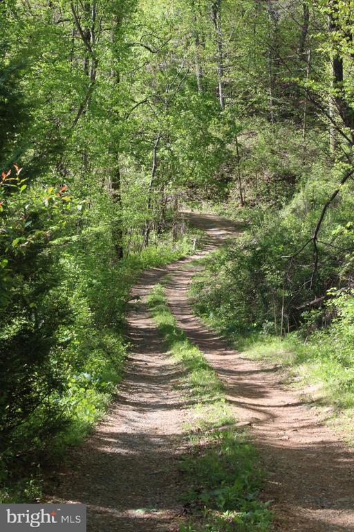 446 SPRING DR, STANARDSVILLE, Virginia 22973, 4 Bedrooms Bedrooms, ,1 BathroomBathrooms,Residential,446 SPRING DR,VAGR2000852 MLS # VAGR2000852