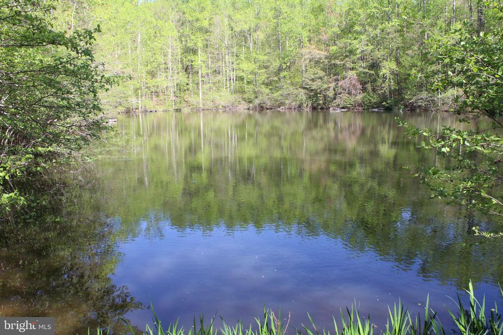 446 SPRING DR, STANARDSVILLE, Virginia 22973, 4 Bedrooms Bedrooms, ,1 BathroomBathrooms,Residential,446 SPRING DR,VAGR2000852 MLS # VAGR2000852