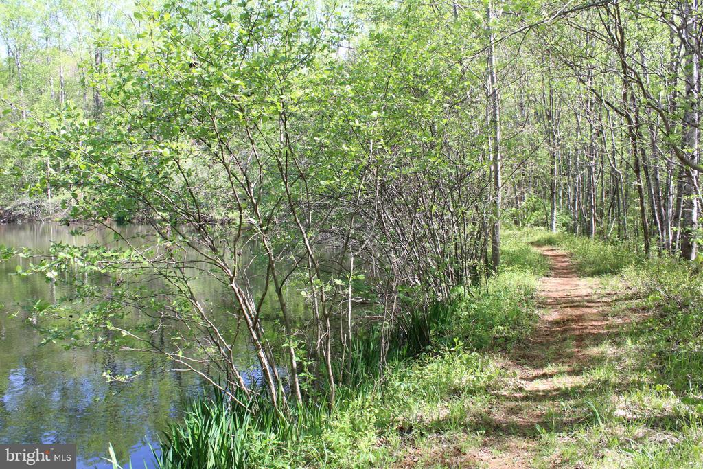 446 SPRING DR, STANARDSVILLE, Virginia 22973, 4 Bedrooms Bedrooms, ,1 BathroomBathrooms,Residential,446 SPRING DR,VAGR2000852 MLS # VAGR2000852