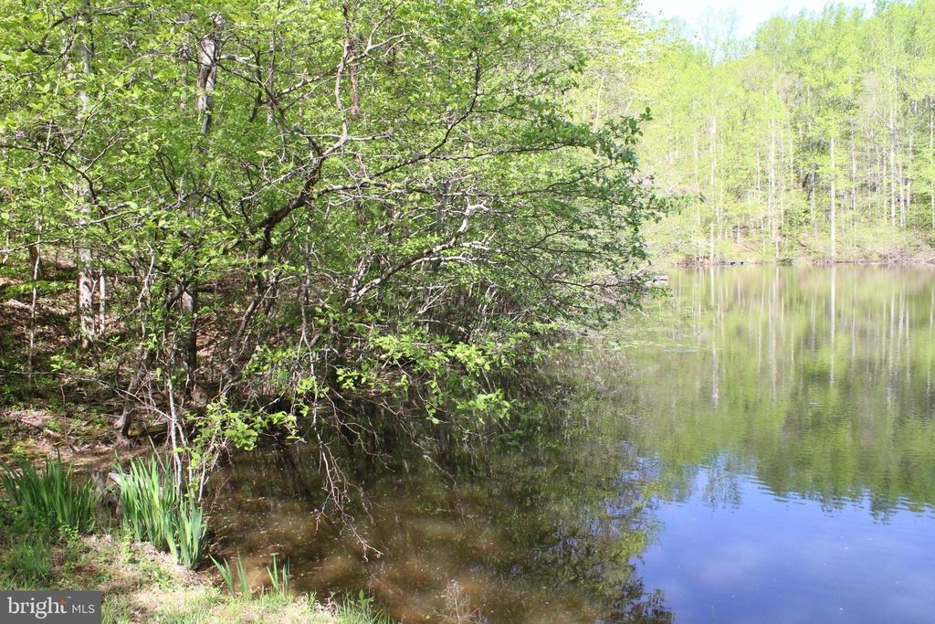 446 SPRING DR, STANARDSVILLE, Virginia 22973, 4 Bedrooms Bedrooms, ,1 BathroomBathrooms,Residential,446 SPRING DR,VAGR2000852 MLS # VAGR2000852