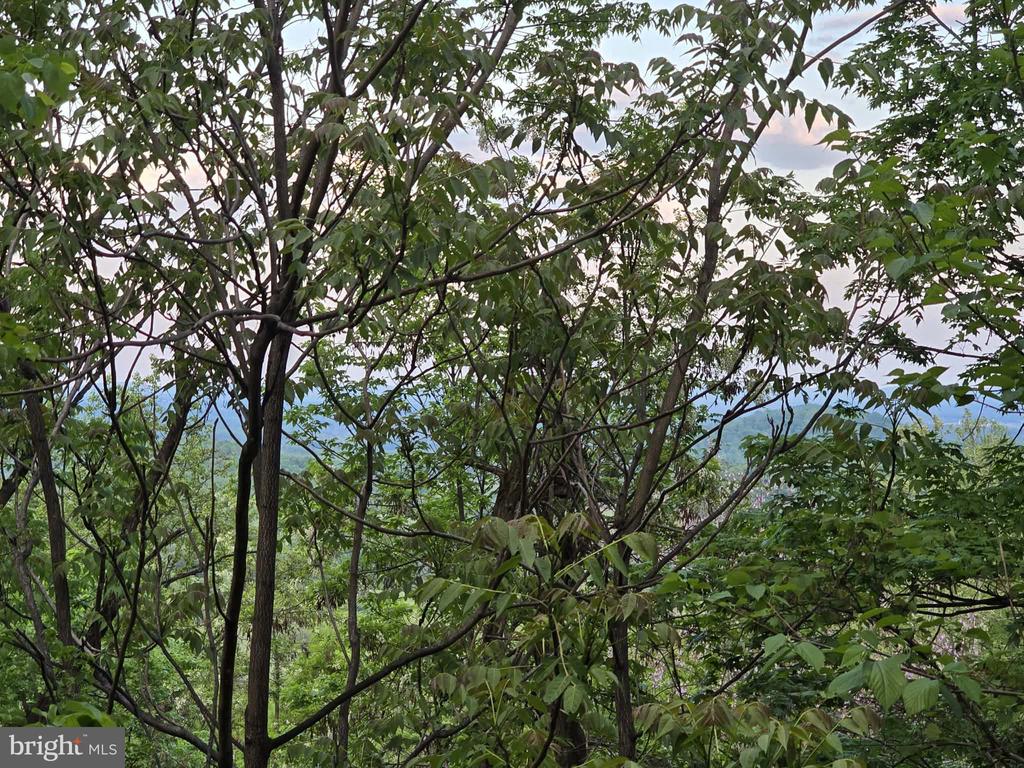 446 SPRING DR, STANARDSVILLE, Virginia 22973, 4 Bedrooms Bedrooms, ,1 BathroomBathrooms,Residential,446 SPRING DR,VAGR2000852 MLS # VAGR2000852