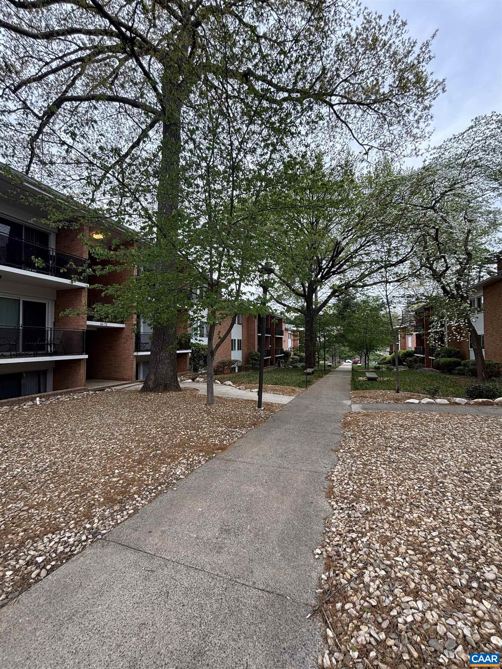 1800 JEFFERSON PARK AVE, CHARLOTTESVILLE, Virginia 22903, 1 Bedroom Bedrooms, ,1 BathroomBathrooms,Residential,1800 JEFFERSON PARK AVE,676069 MLS # 676069