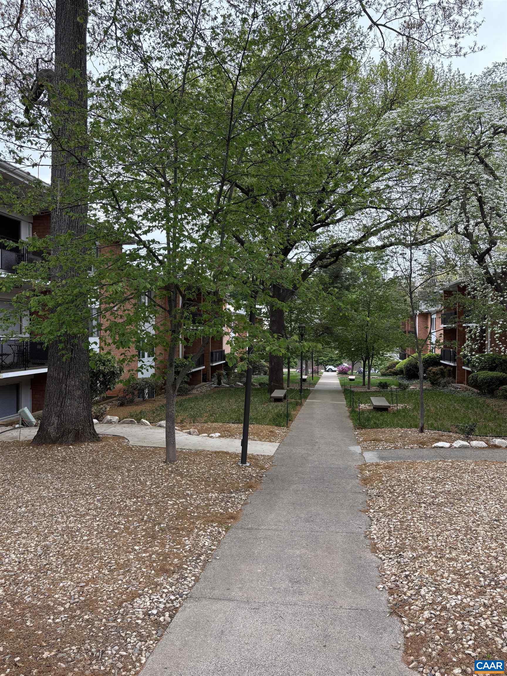 1800 JEFFERSON PARK AVE, CHARLOTTESVILLE, Virginia 22903, 1 Bedroom Bedrooms, ,1 BathroomBathrooms,Residential,1800 JEFFERSON PARK AVE,676069 MLS # 676069