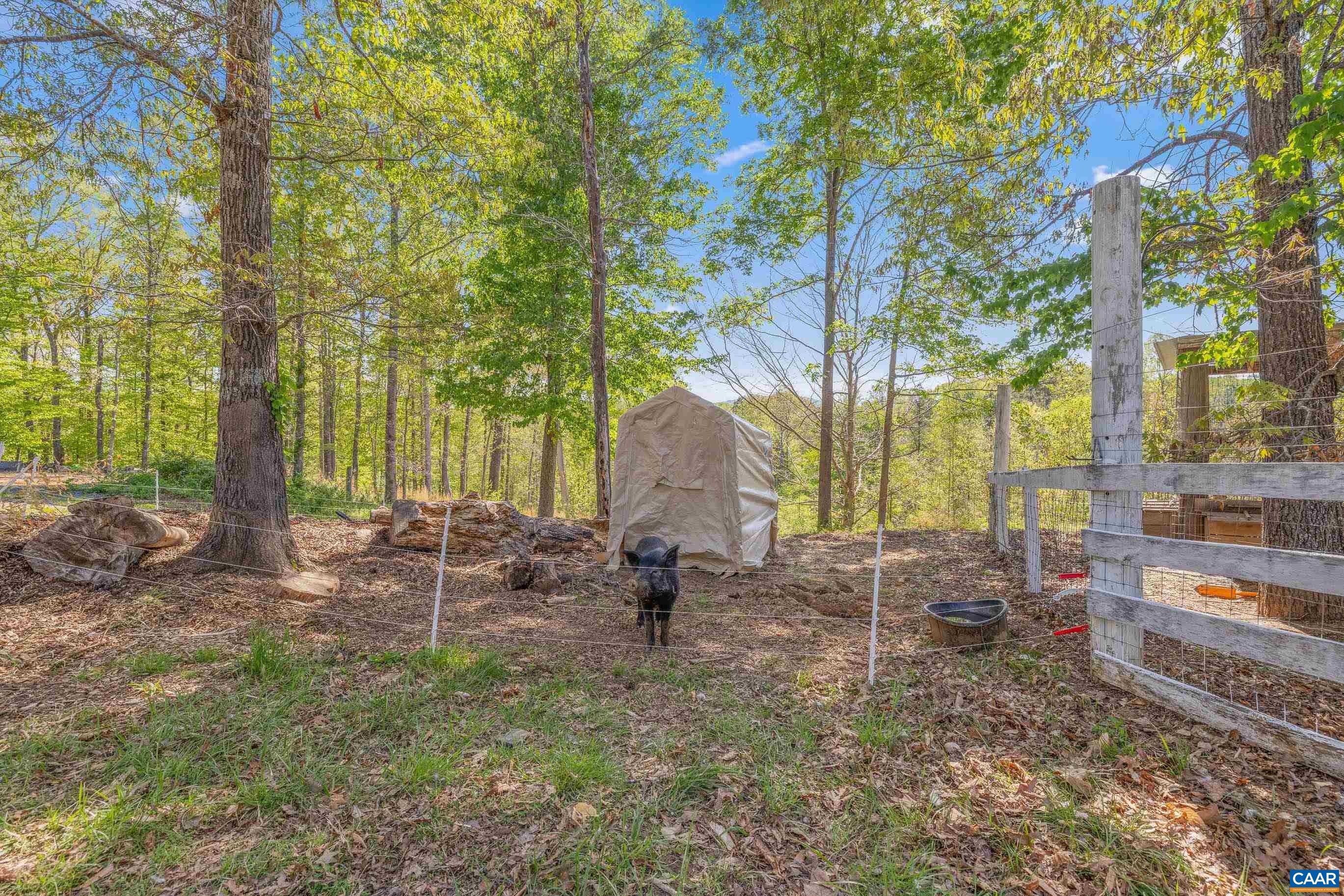 2947 MERRIE MEADOWS LN, KESWICK, Virginia 22947, 4 Bedrooms Bedrooms, ,3 BathroomsBathrooms,Residential,2947 MERRIE MEADOWS LN,676302 MLS # 676302