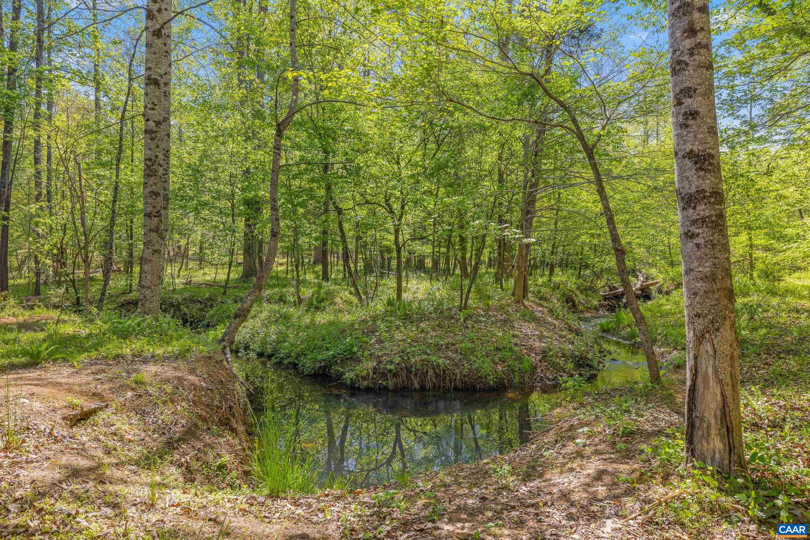 2947 MERRIE MEADOWS LN, KESWICK, Virginia 22947, 4 Bedrooms Bedrooms, ,3 BathroomsBathrooms,Residential,2947 MERRIE MEADOWS LN,676302 MLS # 676302