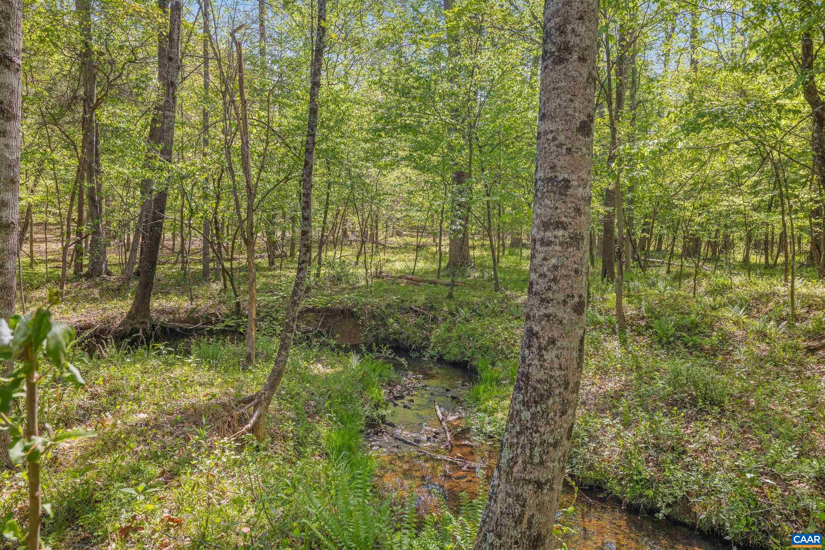 2947 MERRIE MEADOWS LN, KESWICK, Virginia 22947, 4 Bedrooms Bedrooms, ,3 BathroomsBathrooms,Residential,2947 MERRIE MEADOWS LN,676302 MLS # 676302