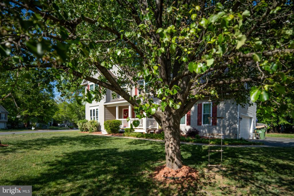 10127 NEW SCOTLAND DR, FREDERICKSBURG, Virginia 22408, 4 Bedrooms Bedrooms, ,3 BathroomsBathrooms,Residential,10127 NEW SCOTLAND DR,VASP2041282 MLS # VASP2041282