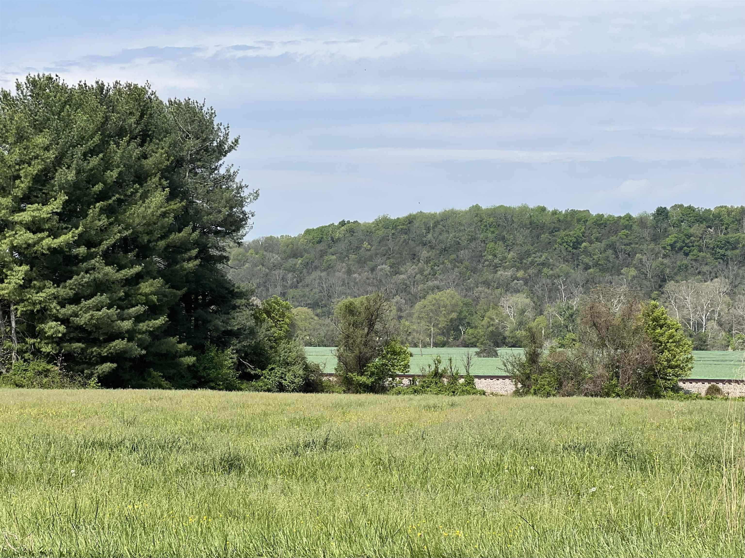 00 EAST SIDE HWY, GROTTOES, Virginia 24441, ,Land,00 EAST SIDE HWY,676321 MLS # 676321