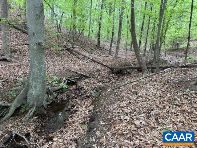 3220 SPOTSWOOD TRL, BARBOURSVILLE, Virginia 22923, ,Land,3220 SPOTSWOOD TRL,676325 MLS # 676325