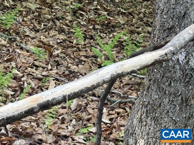 3220 SPOTSWOOD TRL, BARBOURSVILLE, Virginia 22923, ,Land,3220 SPOTSWOOD TRL,676325 MLS # 676325