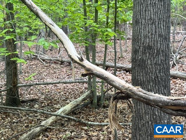 3220 SPOTSWOOD TRL, BARBOURSVILLE, Virginia 22923, ,Land,3220 SPOTSWOOD TRL,676325 MLS # 676325