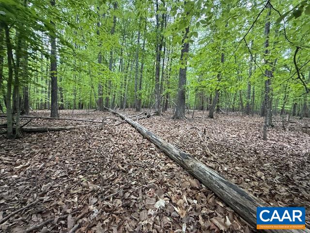 3220 SPOTSWOOD TRL, BARBOURSVILLE, Virginia 22923, ,Land,3220 SPOTSWOOD TRL,676325 MLS # 676325