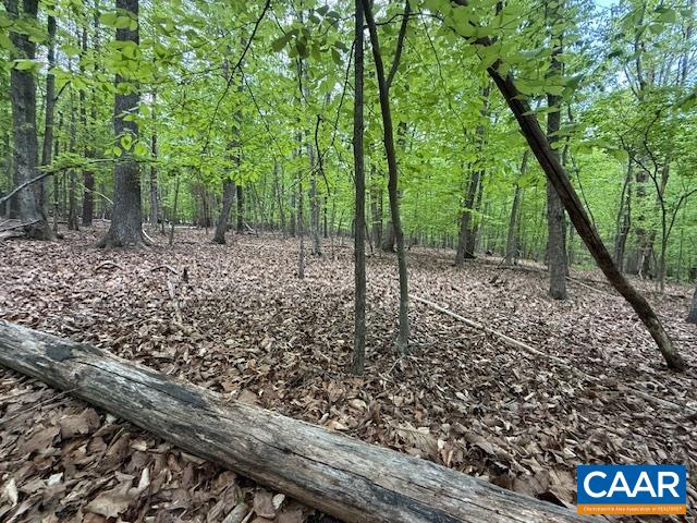 3220 SPOTSWOOD TRL, BARBOURSVILLE, Virginia 22923, ,Land,3220 SPOTSWOOD TRL,676325 MLS # 676325