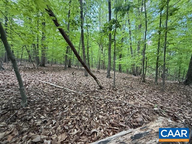 3220 SPOTSWOOD TRL, BARBOURSVILLE, Virginia 22923, ,Land,3220 SPOTSWOOD TRL,676325 MLS # 676325