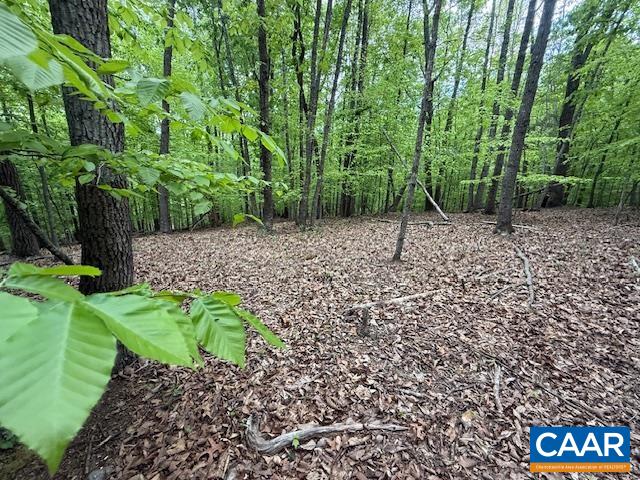 3220 SPOTSWOOD TRL, BARBOURSVILLE, Virginia 22923, ,Land,3220 SPOTSWOOD TRL,676325 MLS # 676325