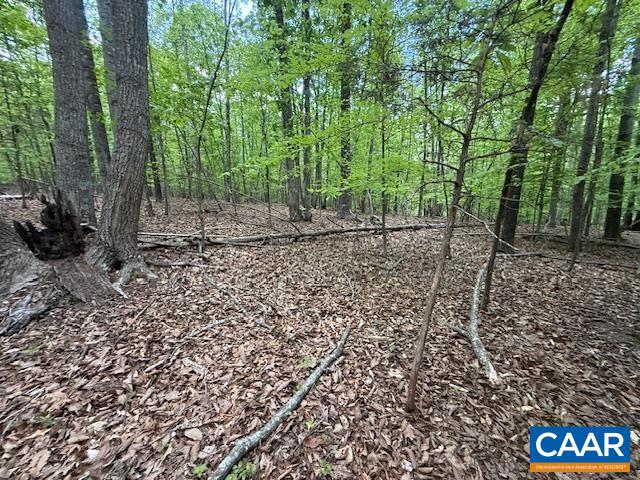 3220 SPOTSWOOD TRL, BARBOURSVILLE, Virginia 22923, ,Land,3220 SPOTSWOOD TRL,676325 MLS # 676325