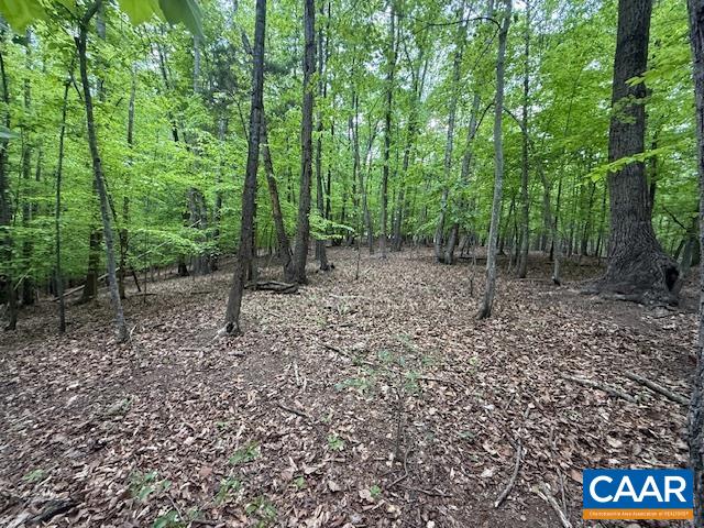 3220 SPOTSWOOD TRL, BARBOURSVILLE, Virginia 22923, ,Land,3220 SPOTSWOOD TRL,676325 MLS # 676325