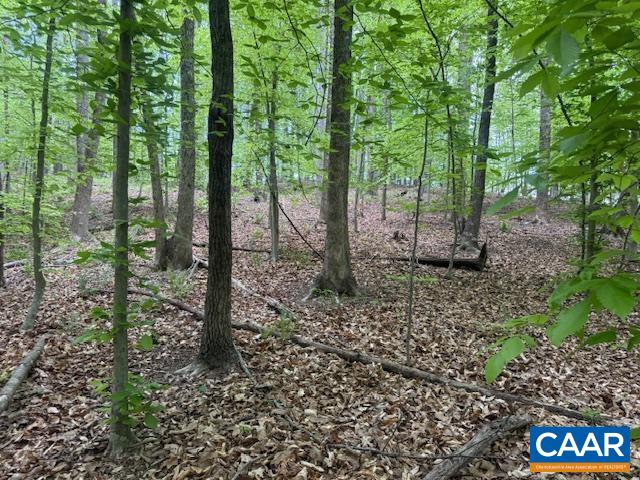 3220 SPOTSWOOD TRL, BARBOURSVILLE, Virginia 22923, ,Land,3220 SPOTSWOOD TRL,676325 MLS # 676325