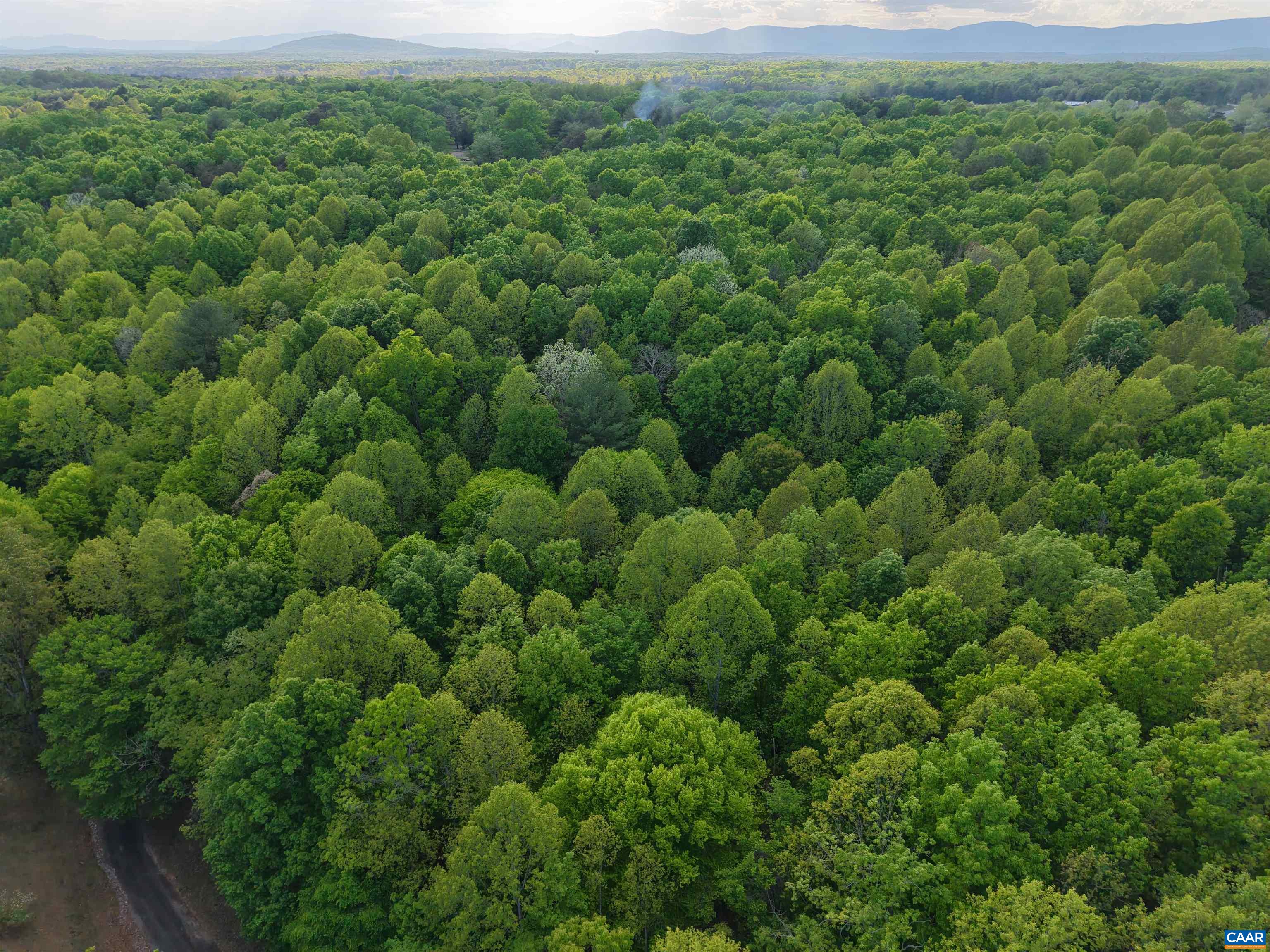 3220 SPOTSWOOD TRL, BARBOURSVILLE, Virginia 22923, ,Land,3220 SPOTSWOOD TRL,676325 MLS # 676325